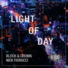 Light of Day-Radio Edit