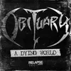 About A Dying World Song