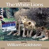 The White Lions Main Title