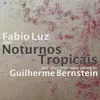 Luzes da Janela (Noturno Tropical No. 1)