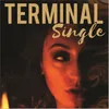 About Terminal Song