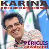 About Karina, O Meu Amor Rima Com Você Song