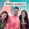 About Ciranda Agridoce Song