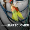 About Bartolomeu Song