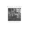 About Wild Thing-Remix Version Song