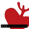 About Leo Song