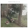 About Nostalgia Song