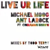 Live Ur Life-Todd Terry DJ Mix