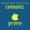 Experience-Extended Mix