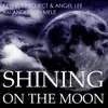 Shining on the Moon-Steve Gregory Extended Remix