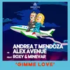 Gimme Love-Minevar Remix