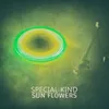 Special Kind-Ranger In The Forest Mix