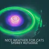 Nice Weather For Cats-Crazy Wet Cat Mix