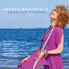 Samba Medley: Piano na Mangueira/Olele Olala/O Nosso Amor
