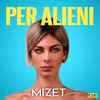 About Per Alieni Song