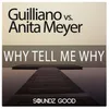 Why Tell Me Why-Meyer Radio Mix 1