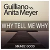 Why Tell Me Why-Radio Mix 2