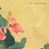 About The Last Summer Song