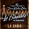 About La Rabia Song