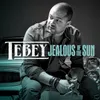 About Jealous of the Sun Song