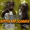 Bippin and Scammin