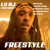 About Freestyle Song