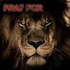 About Pray For Song