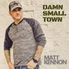 About Damn Small Town Song