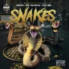 About Snakes Song