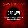About I Saw the Devil Song