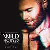 Wild Horses-Cinematic Instrumental