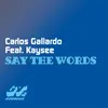 Say the Words-Vocal Mix