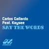 Say the Words-Radio Edit