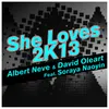 She Loves 2k13-Nouveaubeats & Vince Le Fin Remix