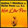 Hot Like Fire-Andrea T Mendoza Tibet Dub