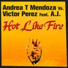 Hot Like Fire-Tavo Remix