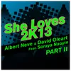 She Loves 2k13-Chris Daniel Remix