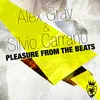 Pleasure from the Beats-Silvio Carrano Bigroom Radio Cut