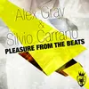 Pleasure from the Beats-Silvio Carrano Bigroom Extended Mix
