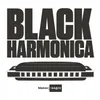 About Black Harmonica-Radio Edit Song