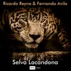 About Selva Lacandona Song