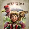 About Luz de la Vida Song