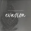 Evasion: I