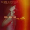 Where Did You Go-Acoustic Unplugged