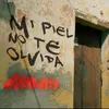 About Mi Piel No Te Olvida-Versión Acústica Song