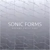 Sonic Form 02