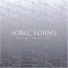 Sonic Form 04
