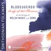 Caru Yn Y Coed (Courting in the Woods) / Cerdd Y Gog Lwydlas [Cuckoo's Song] / Lliw Lili Ymysg Y Drain [Lily Among the Thorns]