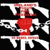 Ireland's Fight For Freedom