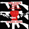 Belfast Brigade